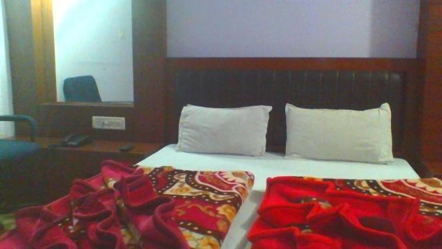 Sahara International Deluxe Hotel New Delhi Room photo